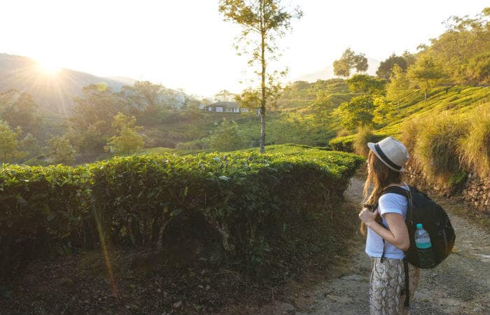 6 Out-Of-The-Park Trails For Trekking In Munnar