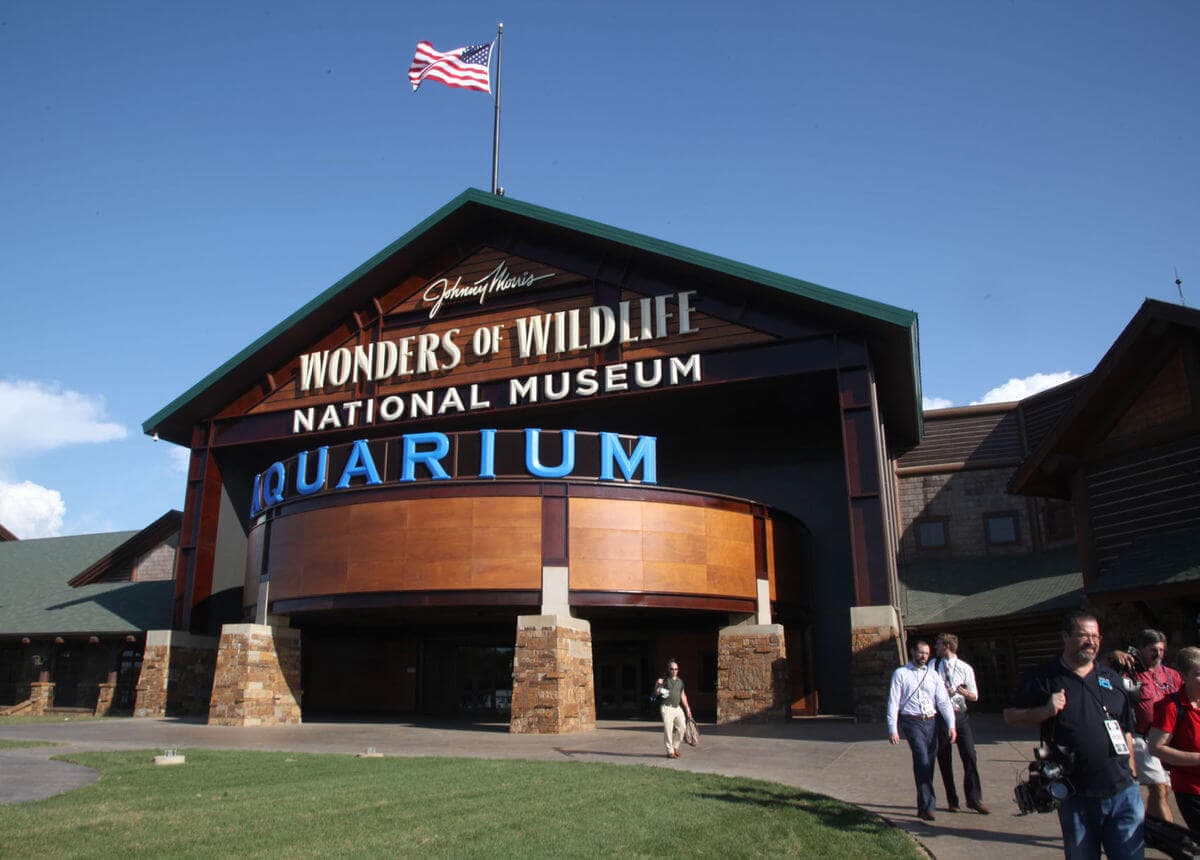 Come face to face with over 800 animal species in one place.