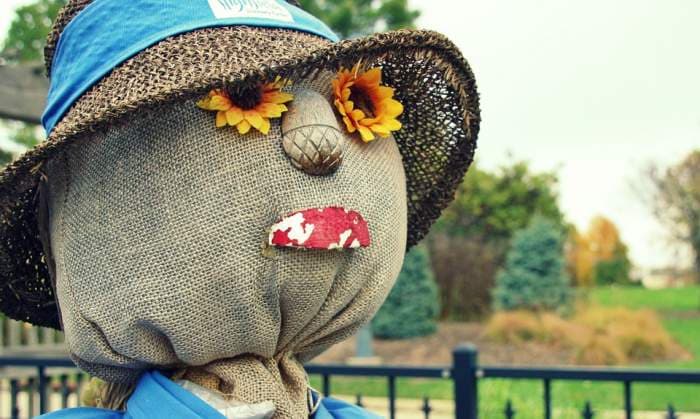See 23 Best Fall Festivals to Celebrate the Season