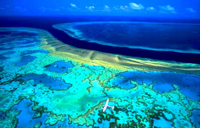 This Coral barrier reef is even seen from the space!