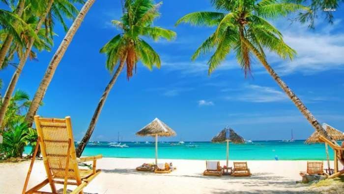 From Blue waters to Green Wood Goa has All!