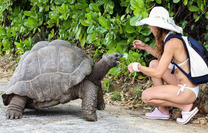 13 best travel destinations to visit in Madagascar