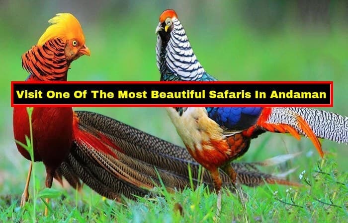 These 6 National Parks In Andaman Is A Wholesome Package