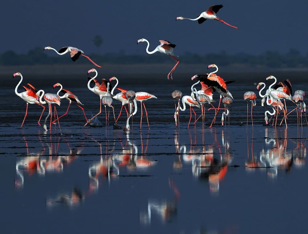 21 Amazing places to be thrilled of in Chennai!