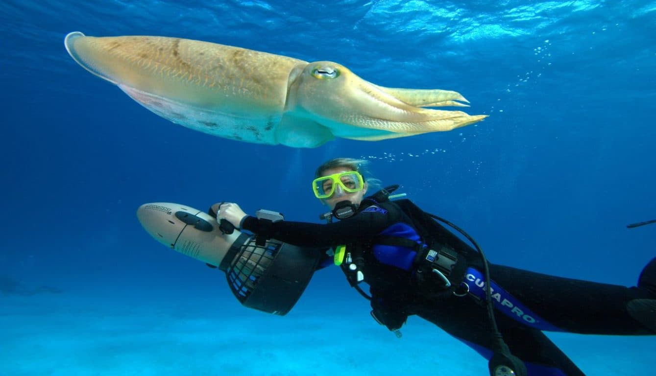 Adventurous Activities You Must Do In Thailand
