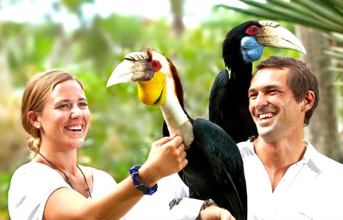 Bali Bird Park: Soak In The Lovely Vibes Of Bali