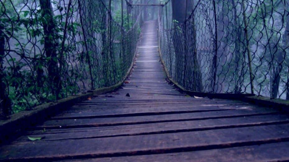 India's First Ever Canopy park Is Here