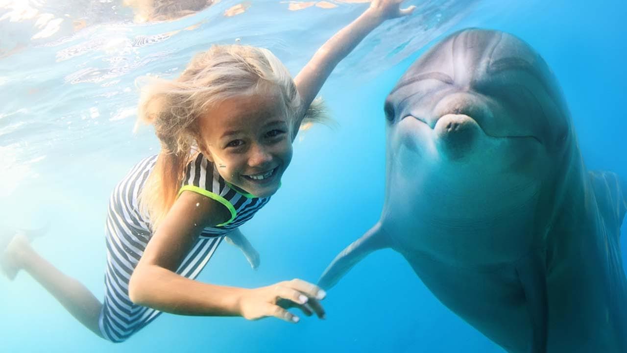 15 Dream Places To Swim With Dolphins And Make The Most Out Of It