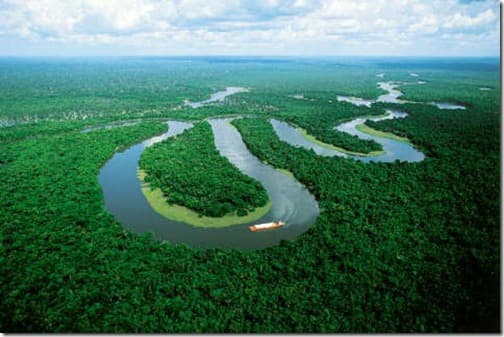 Top 9 largest forests in the world- dare to enter