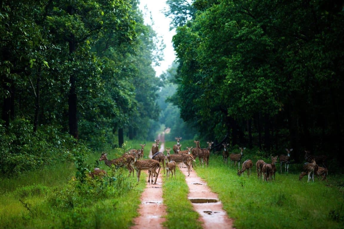 Mainpat, Chattisgarh: Earth Shakes Here While Jumping