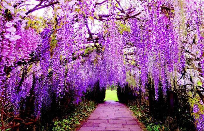 11 Beautiful Places In Japan That Are Hard To Believe Really Exist!
