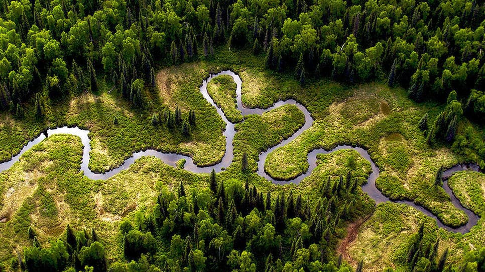 Top interesting facts about Amazon Rainforest