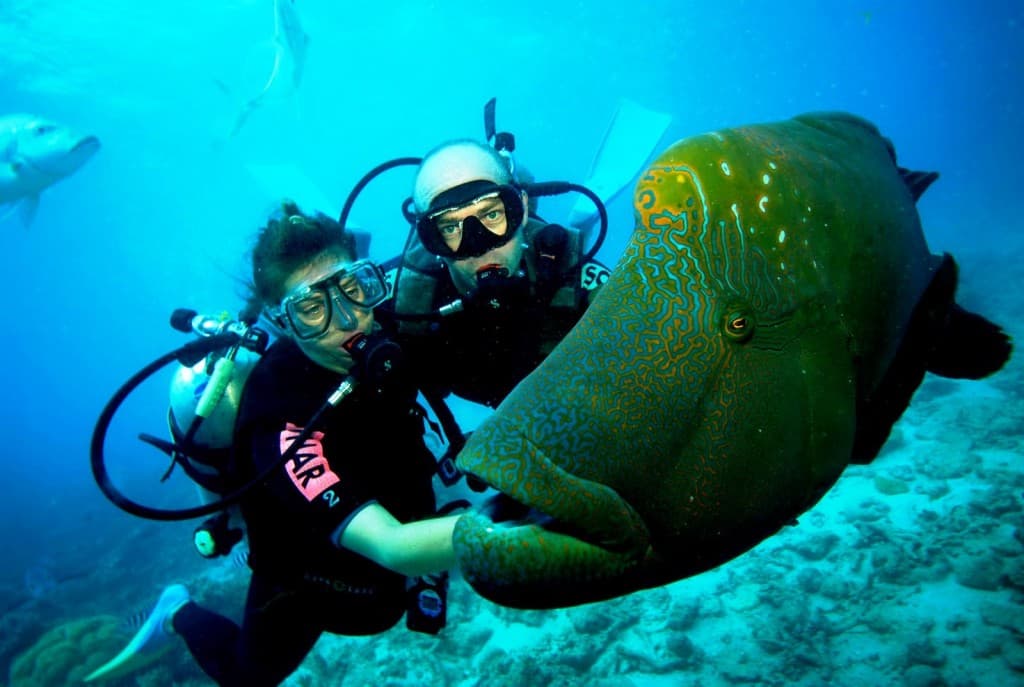 Check Out The List Of Places For Scuba Diving In India