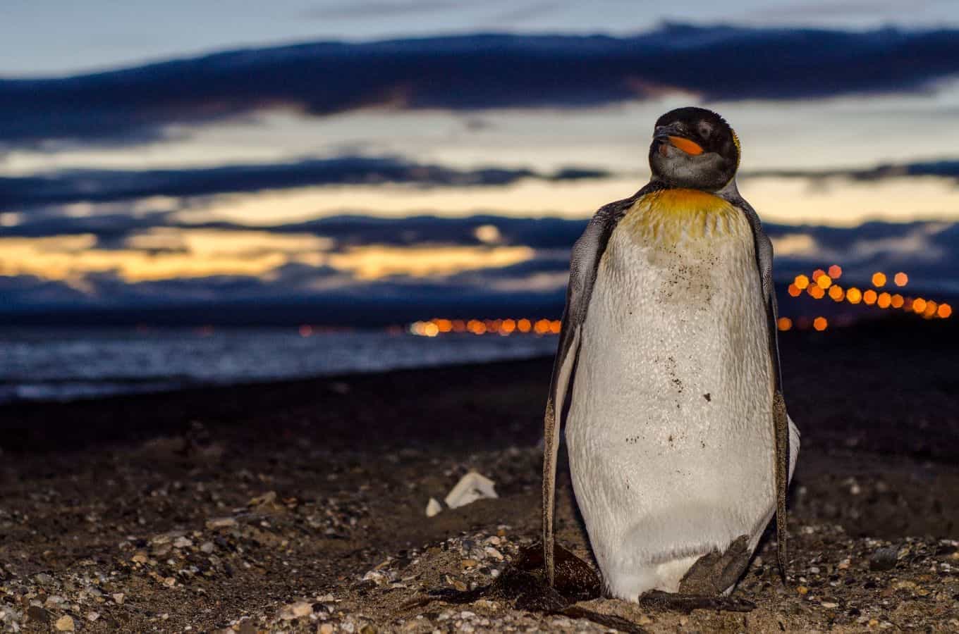 Chile Travel Tips: Everything You Should Know On Your First Visit To Chile