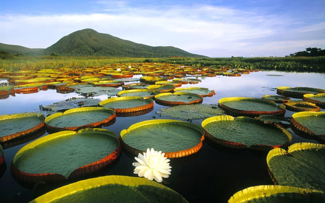 Best Things To Do In Bonito, Brazil: The Complete Guide