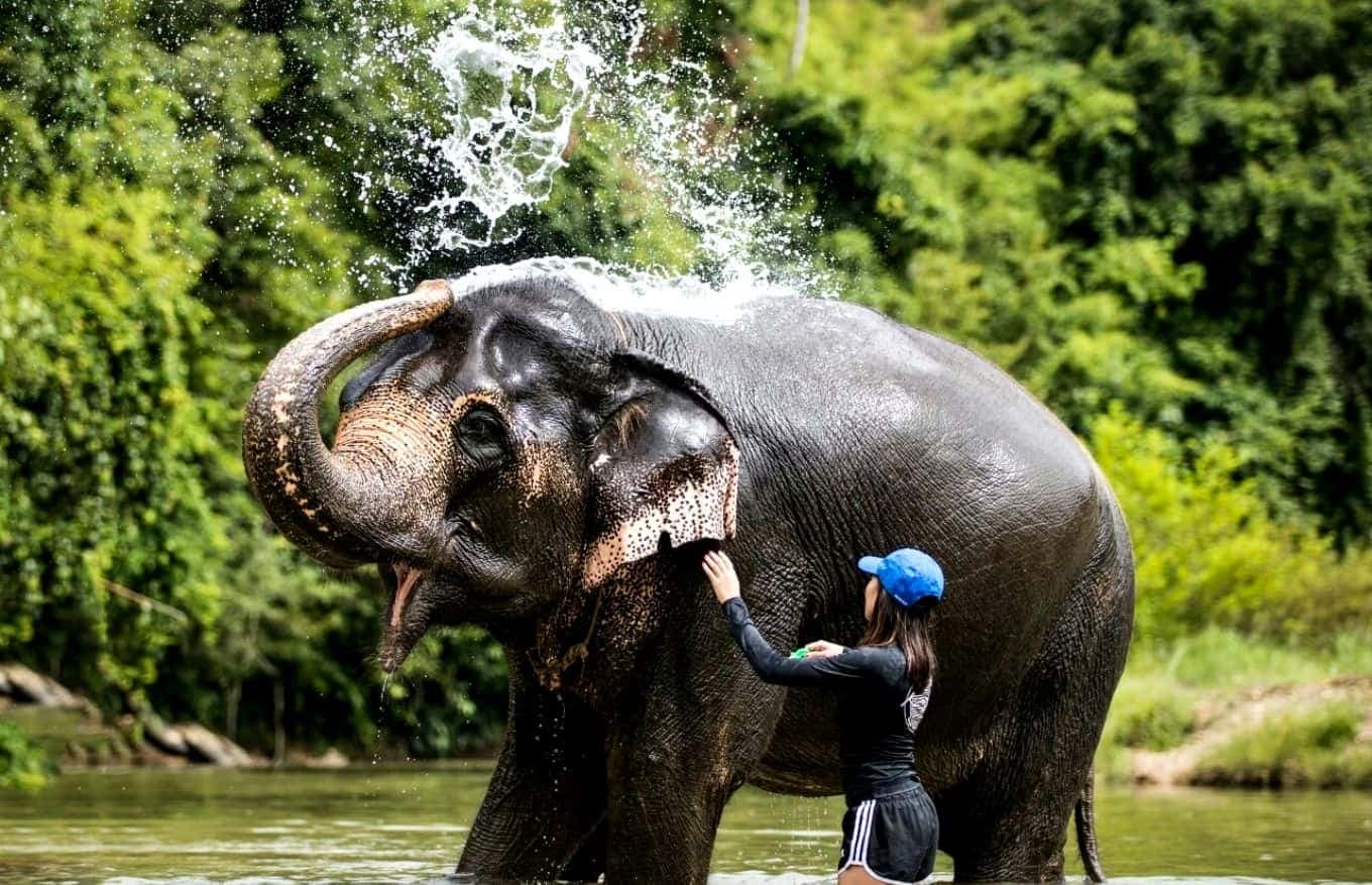 9 Amazing Phuket Day Trips For Great Experiences