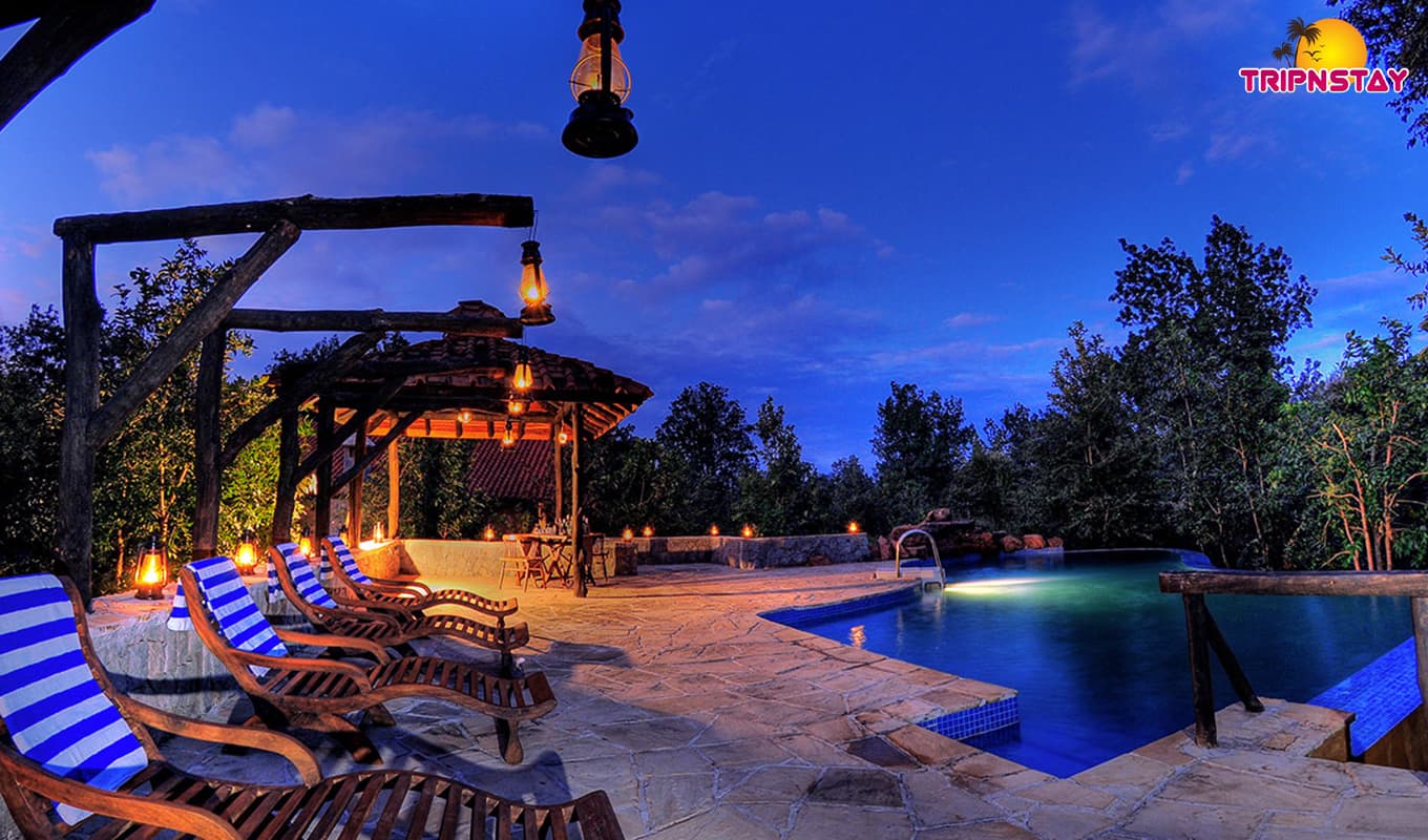 Explore Top 5 National Parks In India With Luxurious Stays