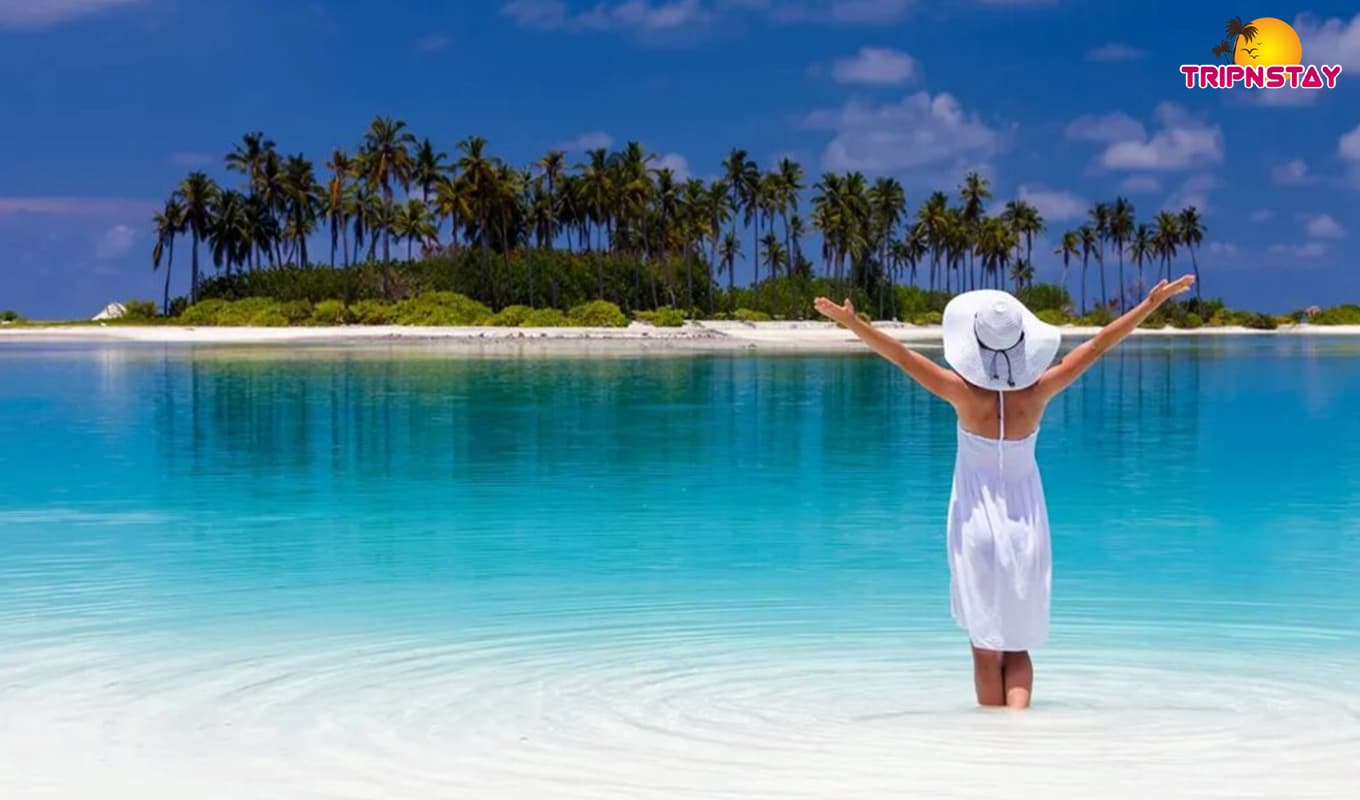 8 Beautiful Private Islands For Your Next Vacation