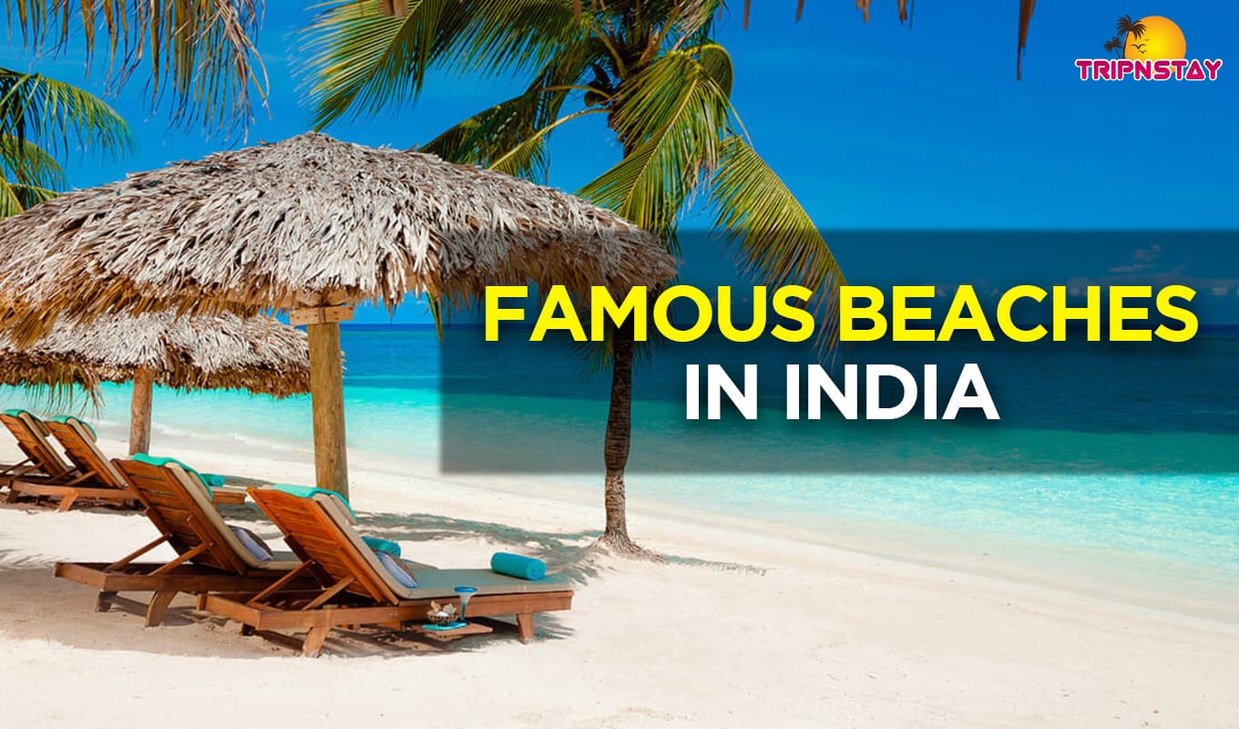 8 Exotic and Famous Beaches In India