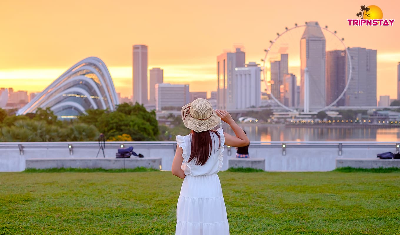 Must-Experience Activities In Singapore For A Memorable Trip