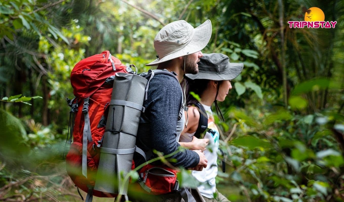 5 Best Wildlife Sanctuaries In Andaman
