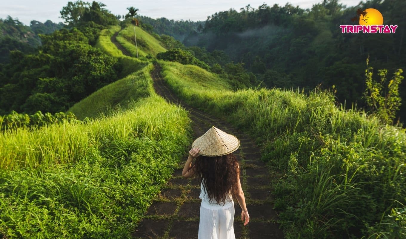 10 Most Beautiful Places To Visit In Ubud City Of Bali