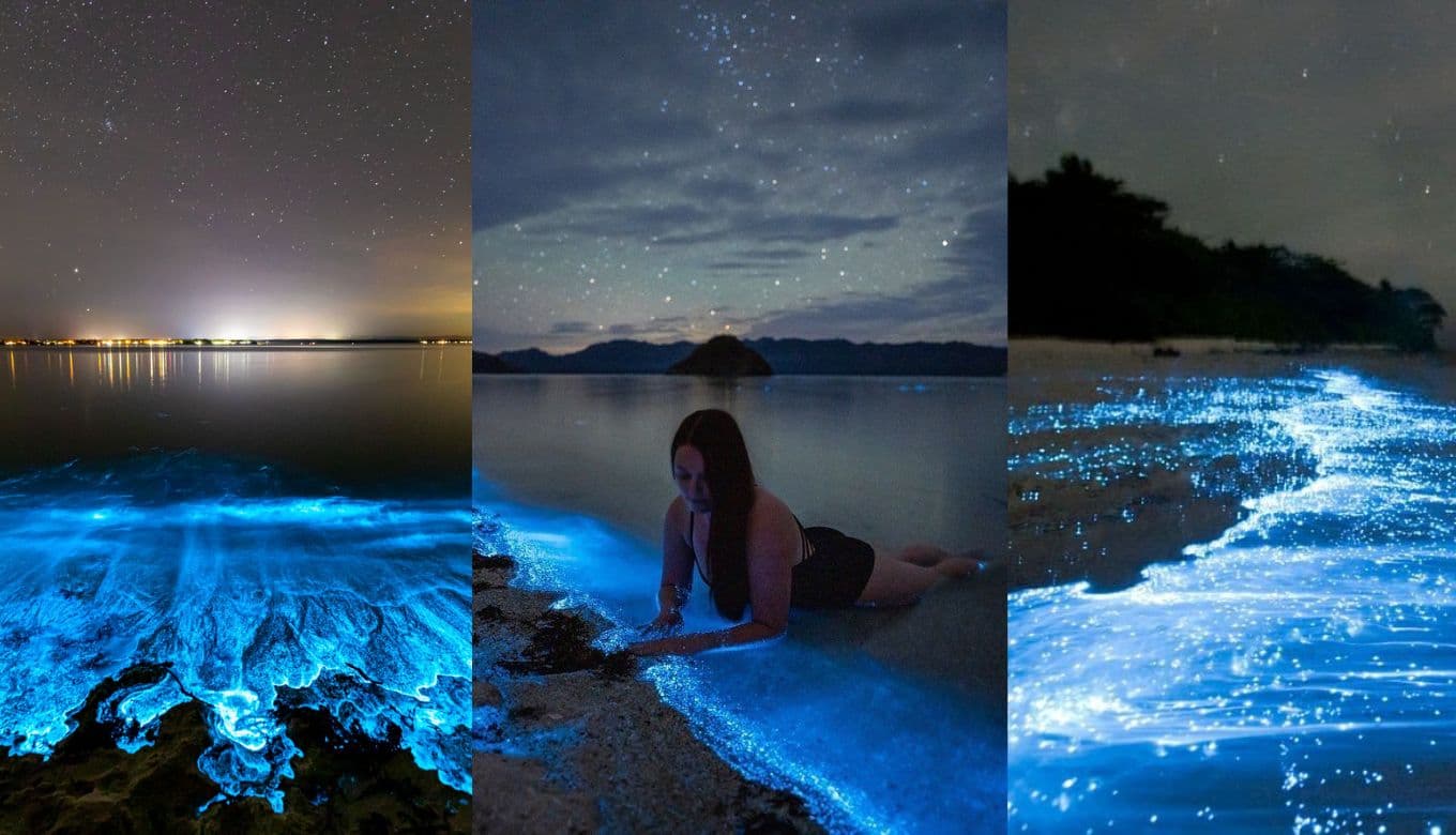 7 Incredible Glowing Beaches Across the World You Must Visit