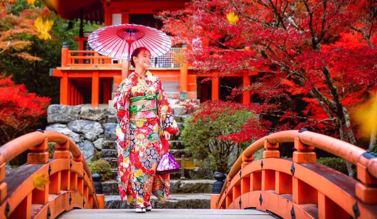 Exploring Tokyo in 2024 and Beyond: What to See and Do