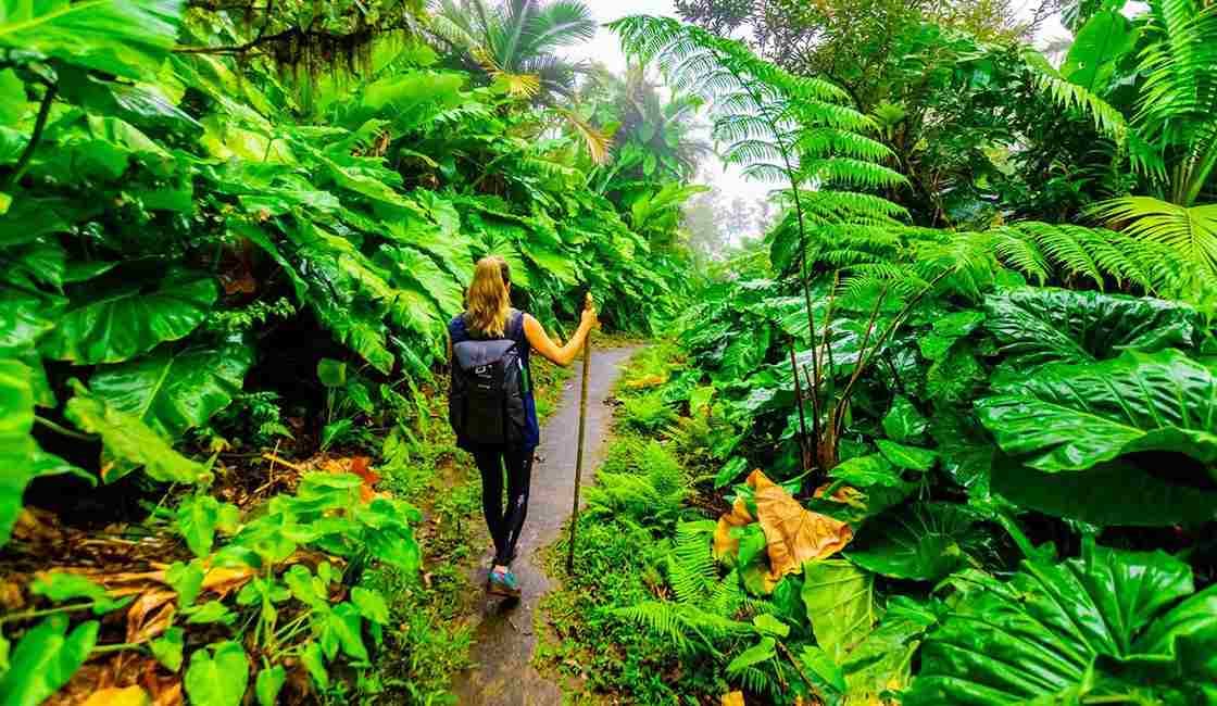 A Guide to the 15 Most Sustainable Travel Destinations Around the World