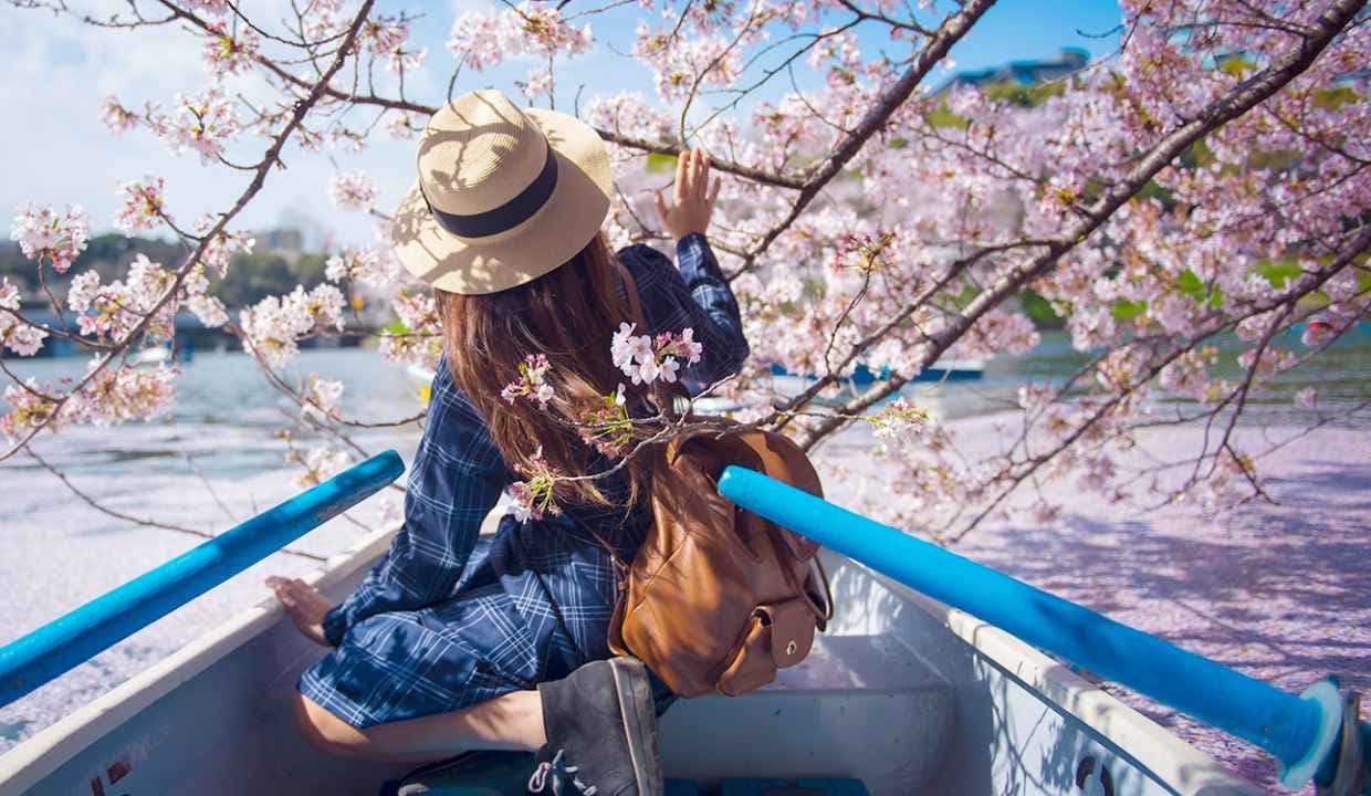 Springtime Blossoms: Exploring the World’s Best Floral Festivals