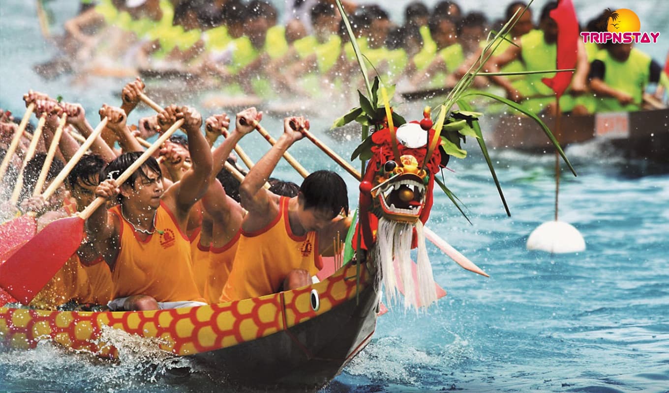 Make A Splash At Hong Kong Dragon Boat Festival Make A Splash At Hong Kong Dragon Boat Festival