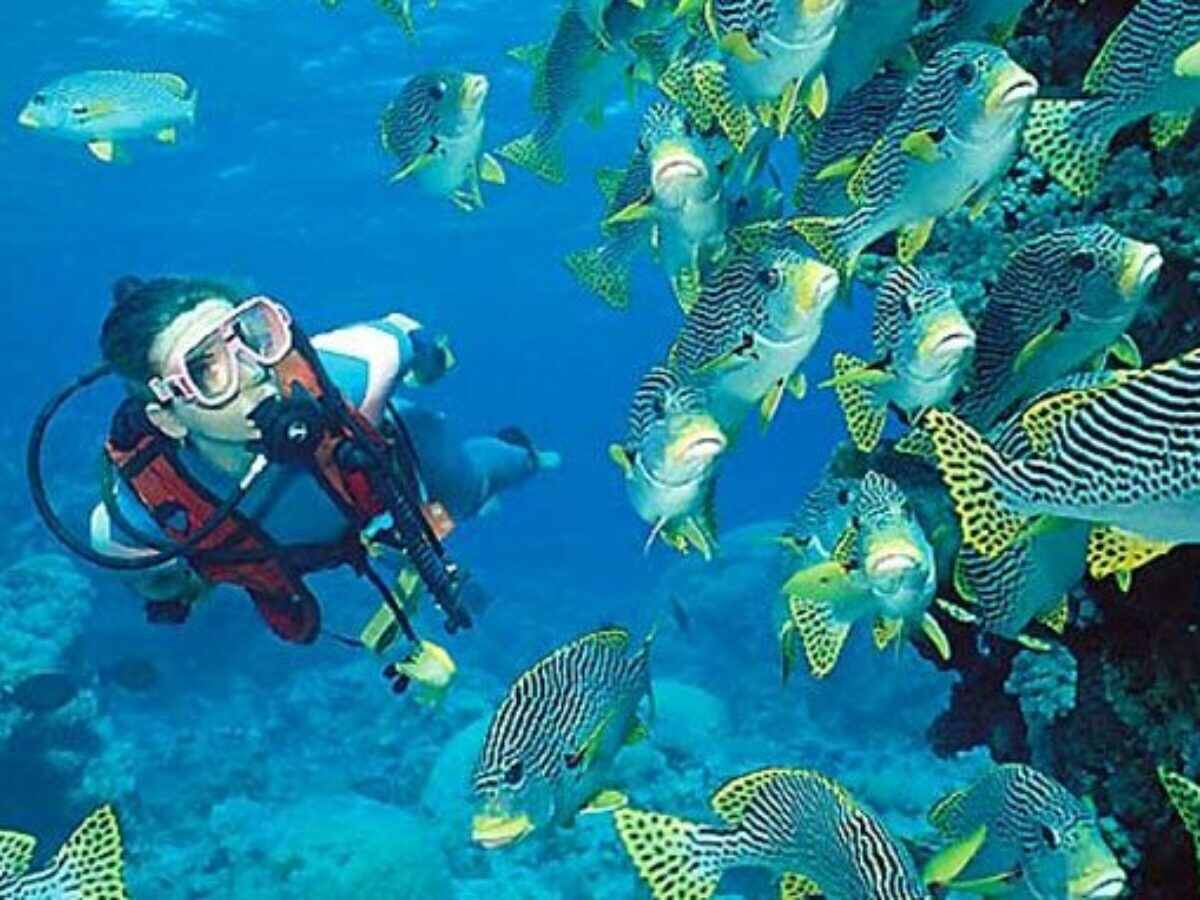 Snorkeling and Scuba Diving in the Islands of Andaman and Nicobar