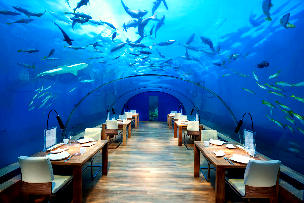 weird restaurants 