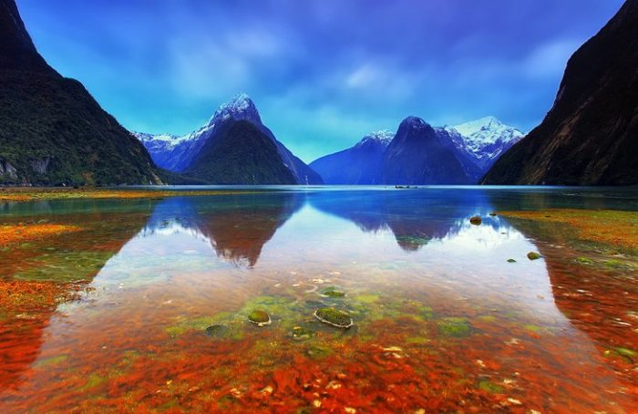 New Zealand