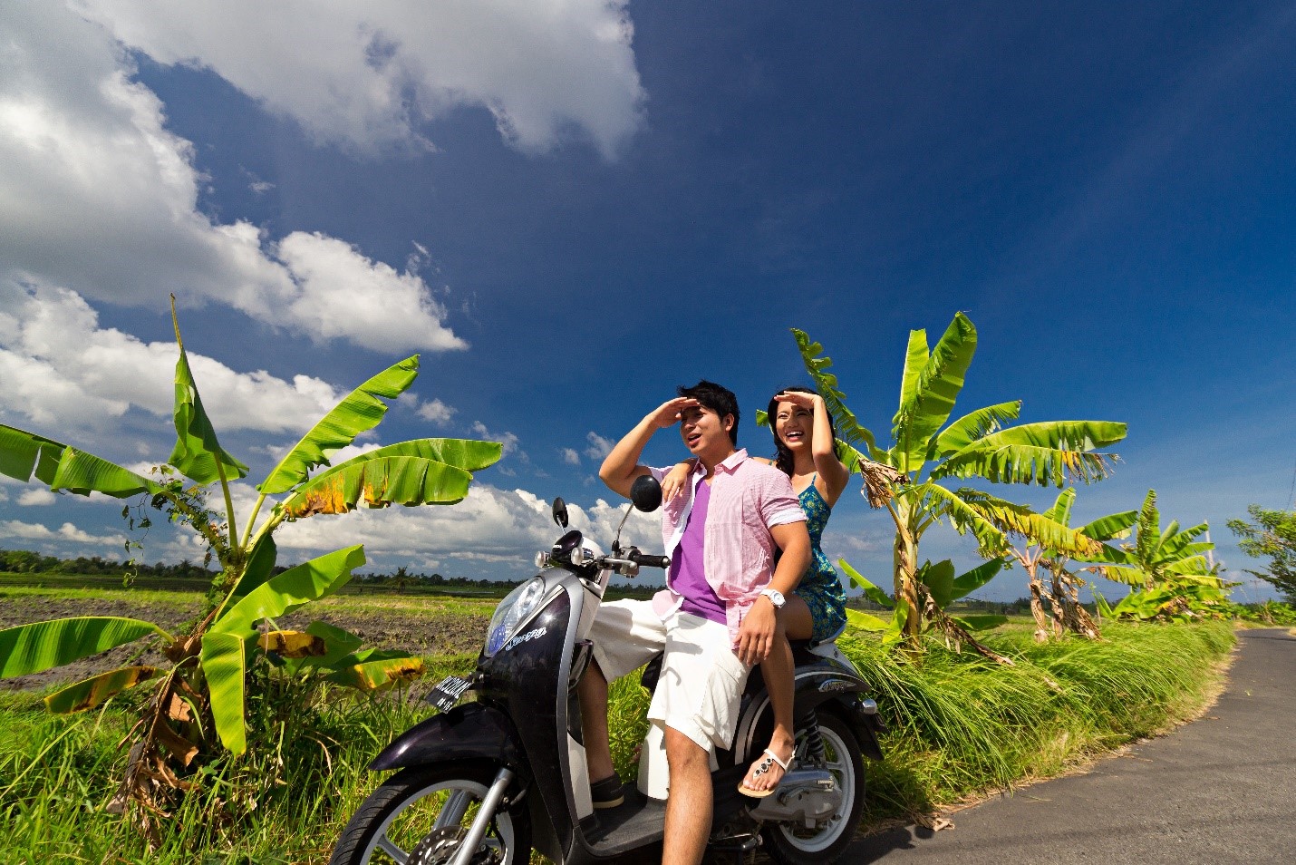 Bali Activity