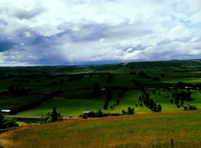 Taieri Plain