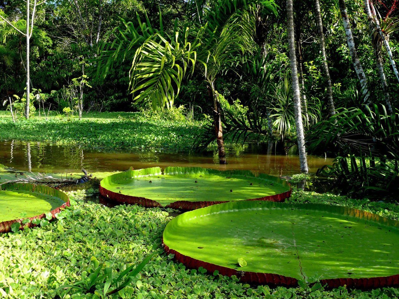 cool things to do in peru