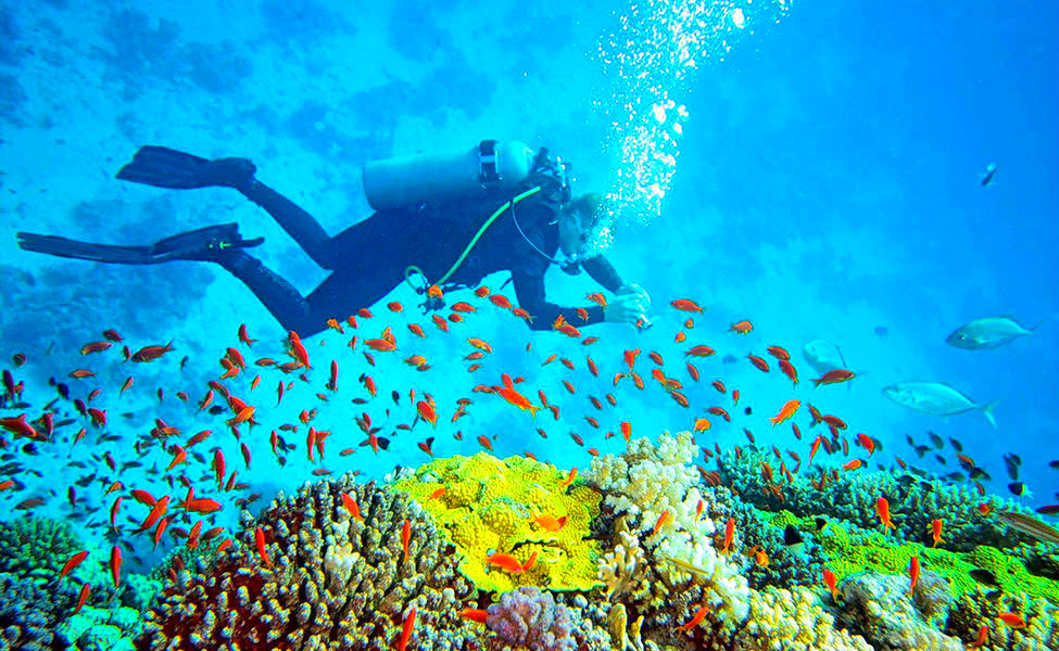 andaman diving
