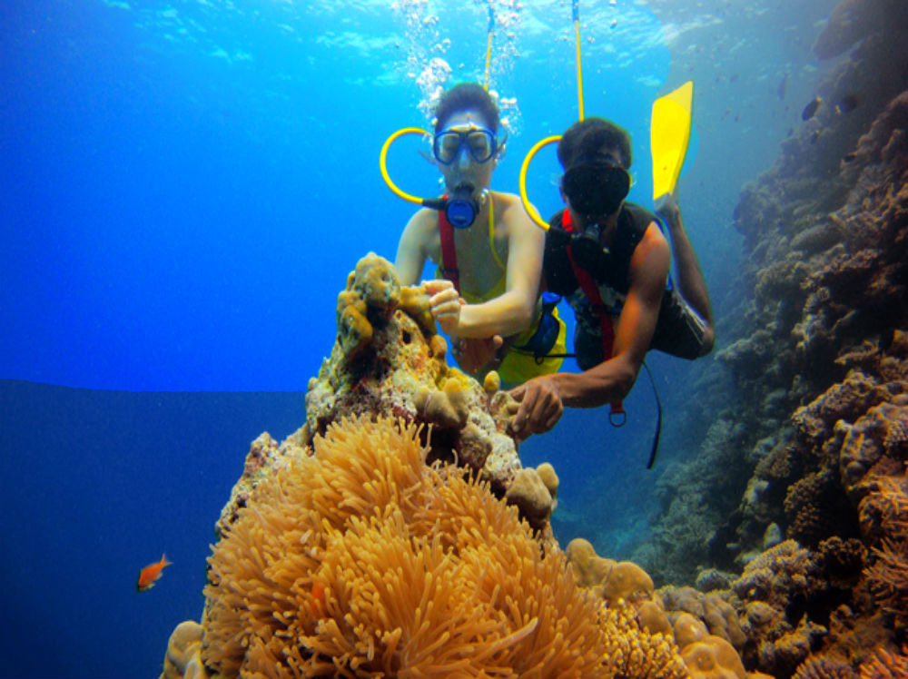 scuba diving in lakshadweep