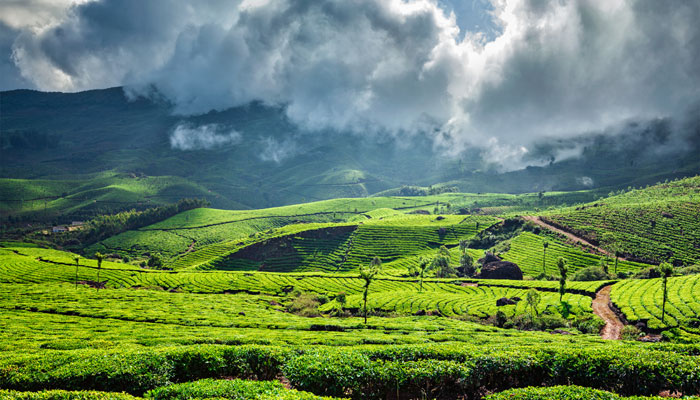 munnar