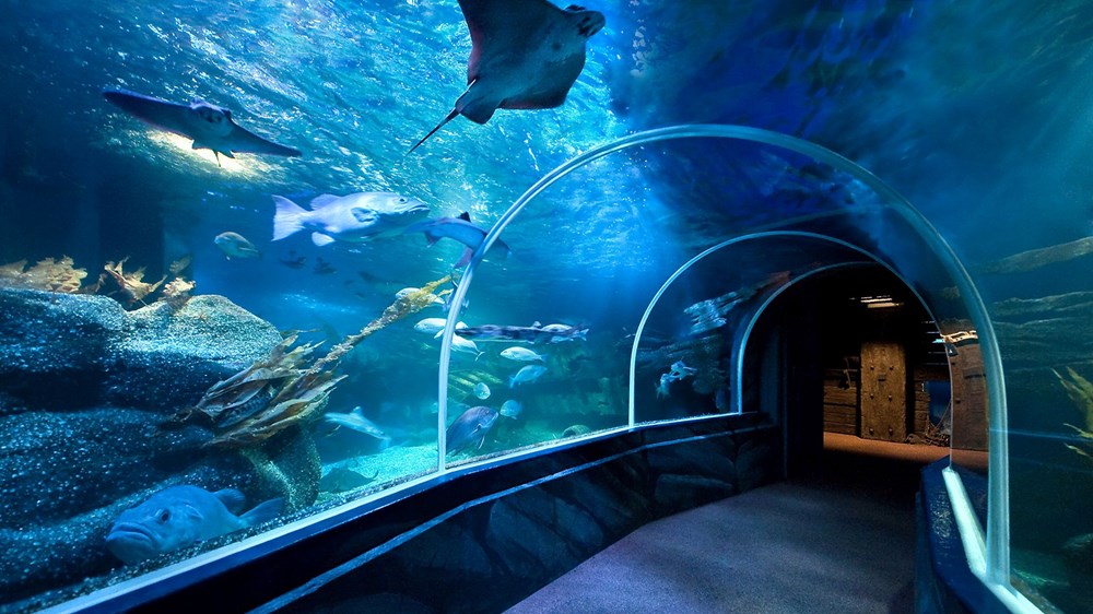 Sea Life Bangkok Ocean World