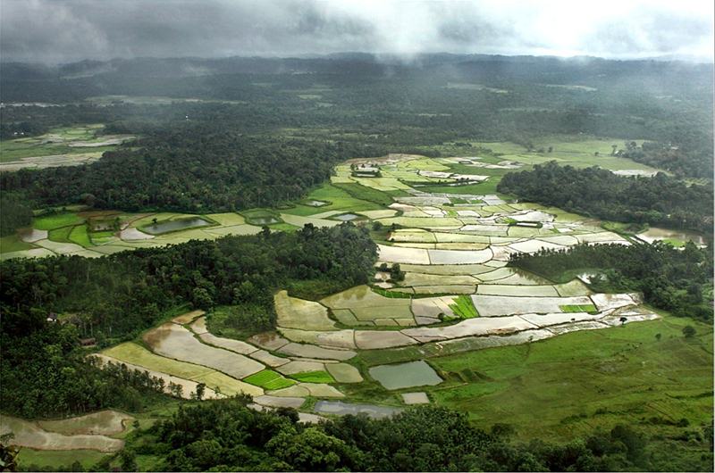 coorg