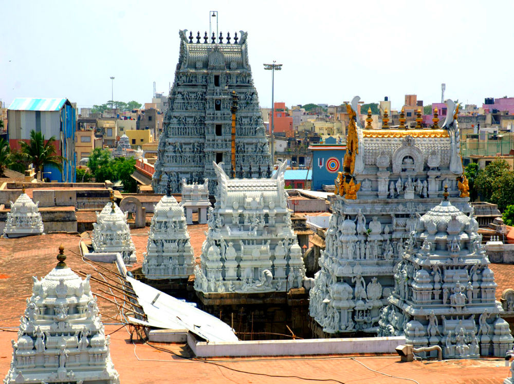 Sri Parthasarathy Temple