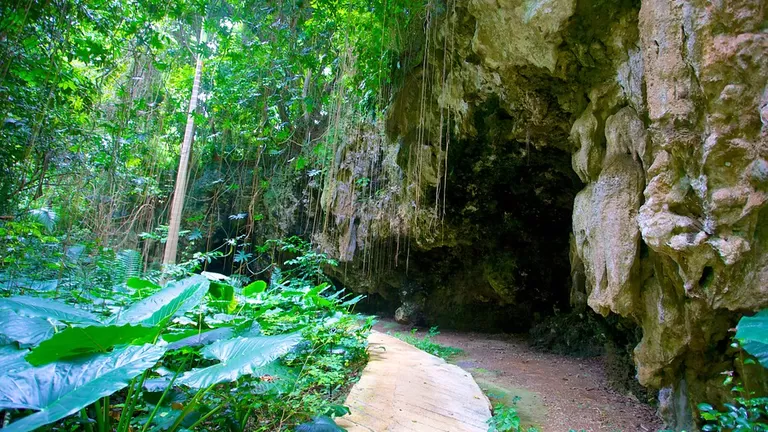 free things to do in barbados