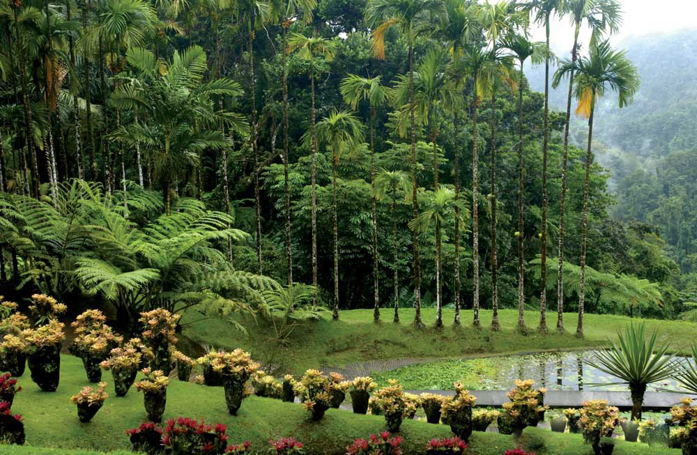 unique things to do in barbados