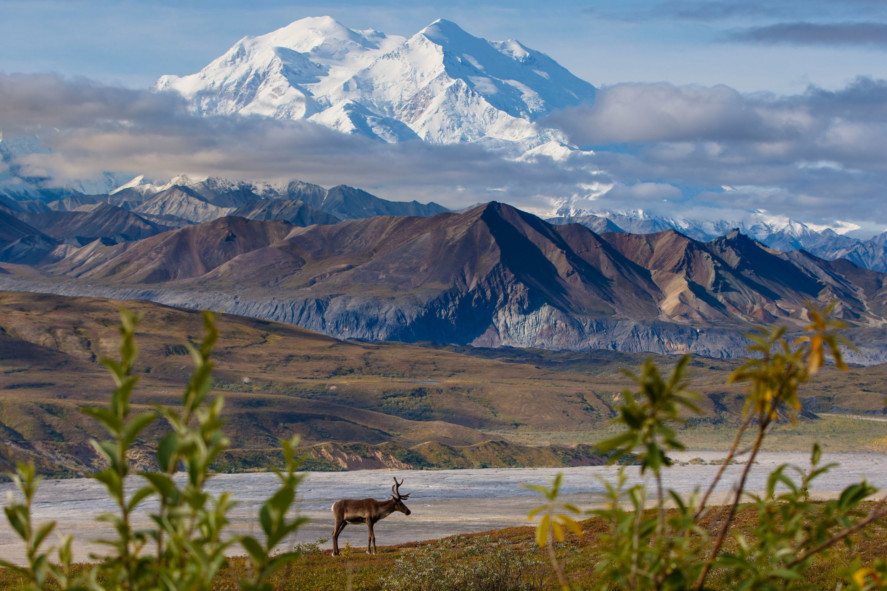 denali 