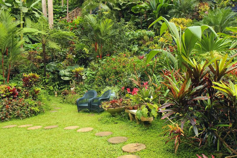 adventurous things to do in barbados