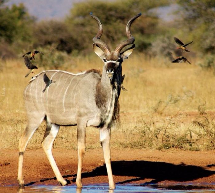 Marakele National Park