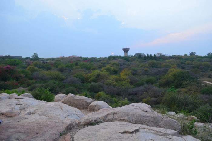 Parthasarathy-Rocks