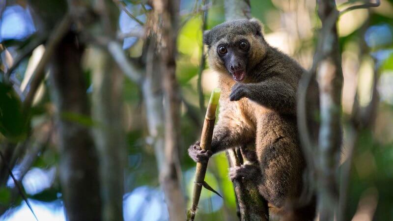 popular places in madagascar